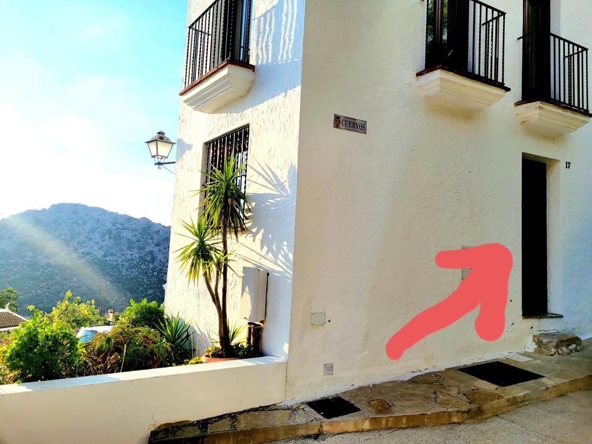 Apartamento Luminoso piso con vistas y chimenea en Benaocaz Exterior foto