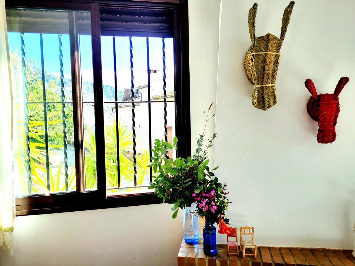 Apartamento Luminoso piso con vistas y chimenea en Benaocaz Exterior foto